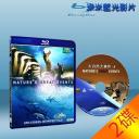  BBC自然界大事件(雙碟) Nature's Most Amazing Events 25G藍光