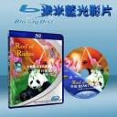  大熊貓+豐富的珊瑚礁 Reef of Riches & The Giant Panda (2010) 藍光25G