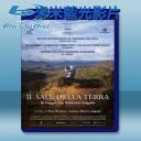  薩爾加多的凝視 The Salt of the Earth (2014) 藍光25G