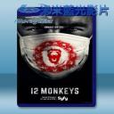   十二猴子 12 Monkeys 第1季 (3碟) 藍光25G