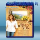   托斯卡尼艷陽下 Under the Tuscan Sun [2003] 藍光影片25G