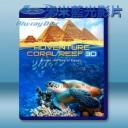   (3D+2D) 埃及海底珊瑚礁 探險之旅 Adventure Coral Reef Under The Sea Of Egypt 藍光影片25G