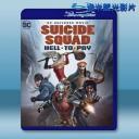  自殺突擊隊：嚴厲懲罰/自殺小隊：嚴厲懲罰 Suicide Squad: Hell to Pay (2018) 藍光影片25G