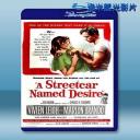  慾望街車 A Streetcar Named Desire [1951] 藍光25G