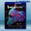  霓虹公牛 Neon Bull [2015] 藍光25G