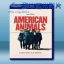   美國動物 American Animals (2018) 藍光25G