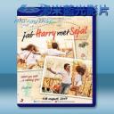   寶萊塢之愛我別走 Jab Harry met Sejal <印度> (2017) 藍光25G