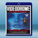 錄影帶謀殺案 Videodrome 【1983】 藍光25G