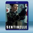  哨兵行動 Sentinelle (2021) 藍光25G