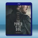 犬山記/犬之力 The Power of the Dog (2021) 藍光25G