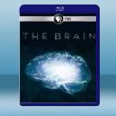 深入大腦 The Brain with Dav...