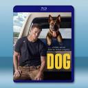 忠犬/逍遙上路 Dog(2022)藍光25G