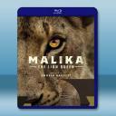 獅子王后瑪莉卡 Malika the Lion...