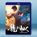 如龍/人中之龍 (2024)【TV全集+電影版...