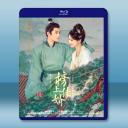 榜上佳婿（2025）【TV全集+幕後花絮】藍光...