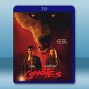 郊狼 Coyotes (2025)藍光25G		 