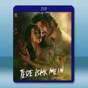 在你的愛情裡 Tere Ishk Mein(2...